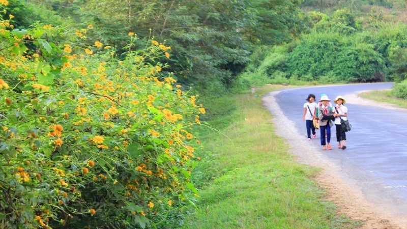 Con đường đến trường