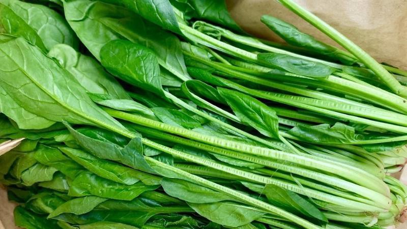 Làm đẹp da với cải bó xôi