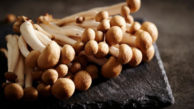  Lưu ý khi ăn nấm và cách bảo quản nấm