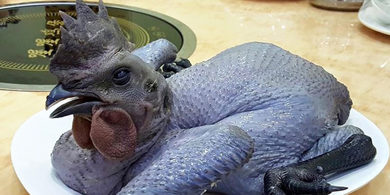 Cách chọn gà ác ngon