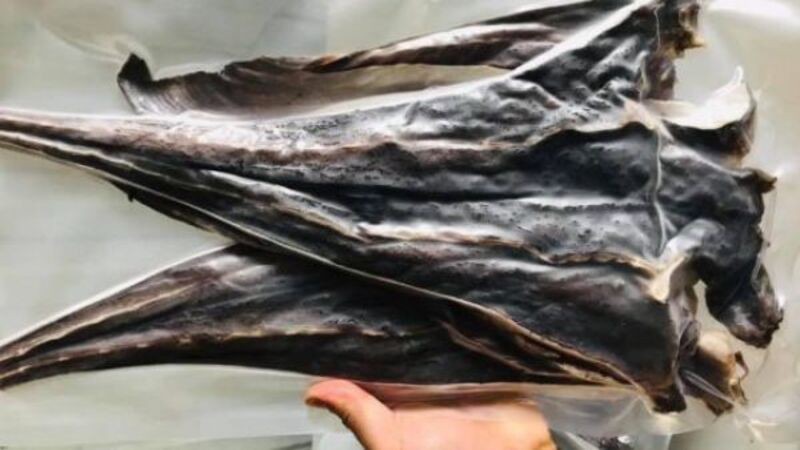 Cá hắc cấy giá khá cao