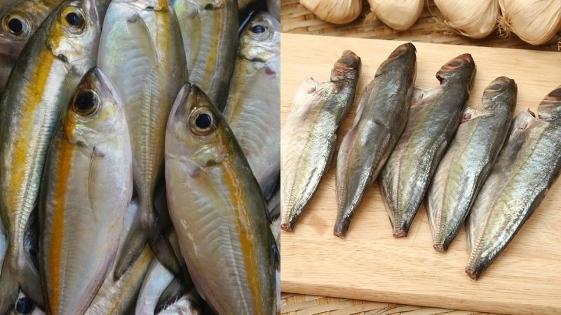 Mua cá trác ở đâu? Giá bao nhiêu?