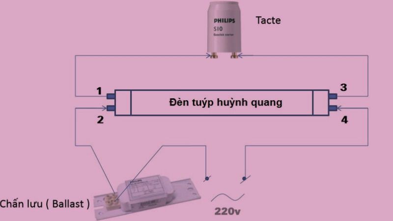 Cấu tạo của đèn huỳnh quang