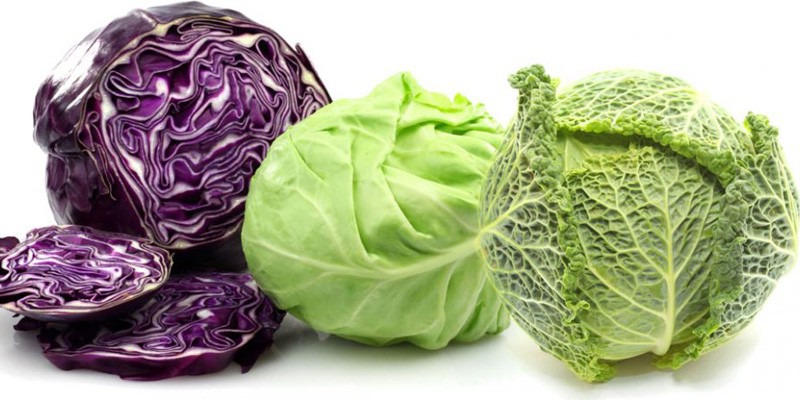 Bắp cải có giá trị dinh dưỡng cao