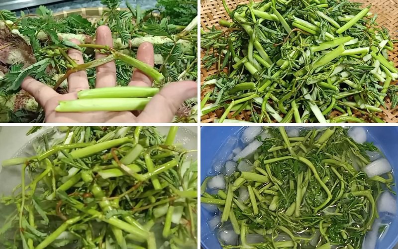 Sơ chế rau nhút