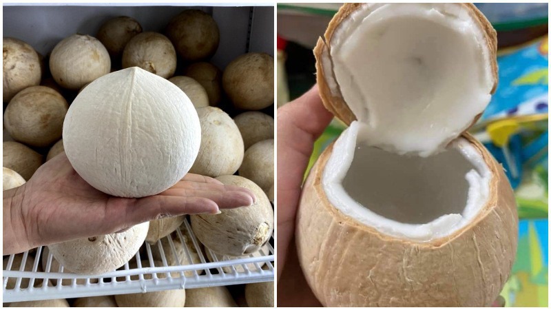 Cách lấy cùi dừa không cần dùng dao đơn giản