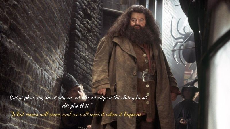 Câu nói hay của Rubeus Hagrid