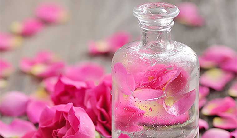 Toner hoa hồng